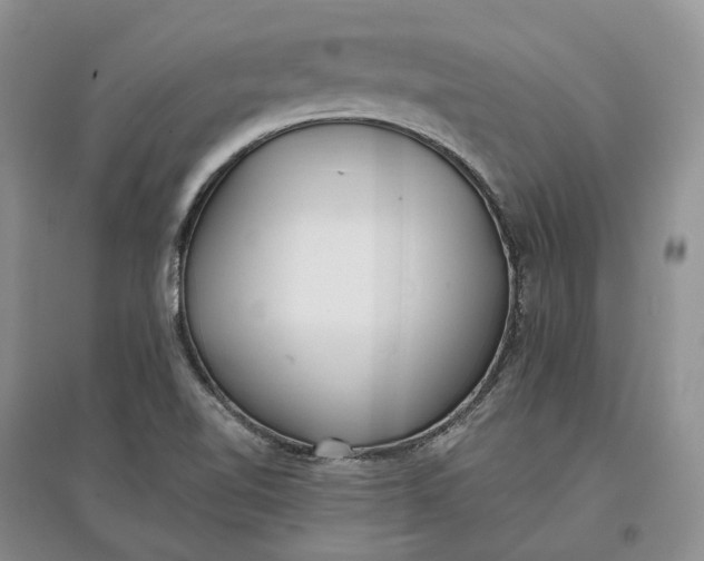 X0000097591510200803141843