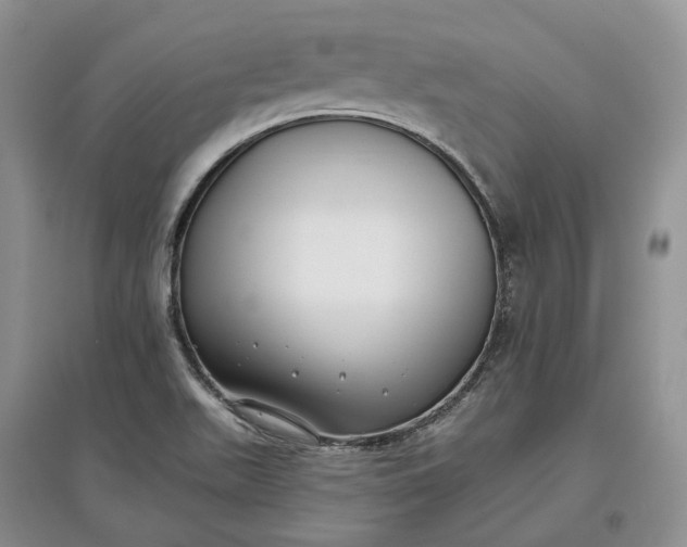 X0000097591511200803141843