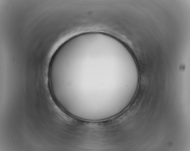 X0000097591512200803141843