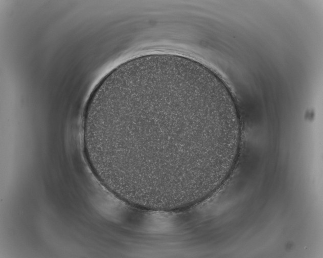 X0000097591514200803141843