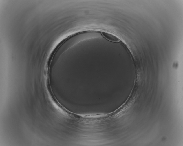 X0000097591515200803141843