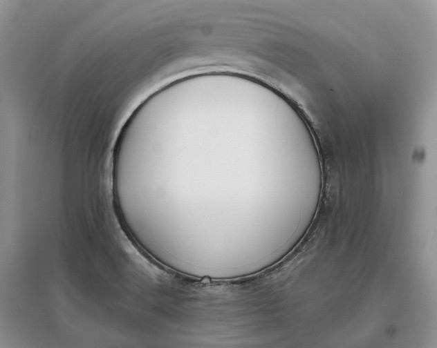 X0000097591516200803141843