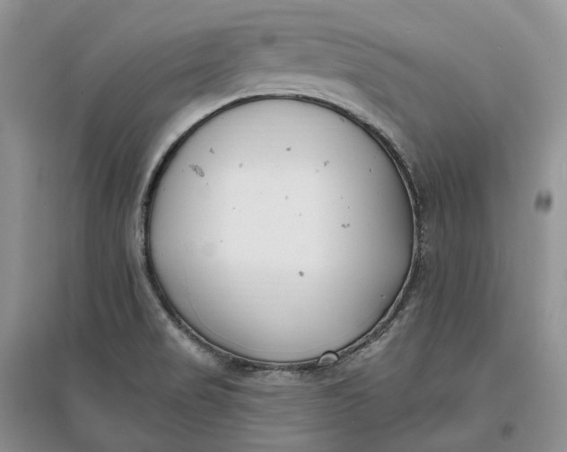 X0000097591517200803141843