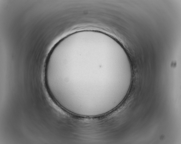 X0000097591518200803141843