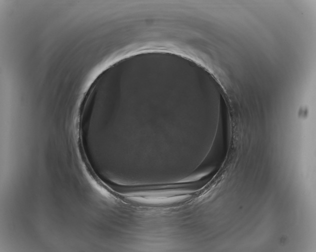 X0000097591519200803141843