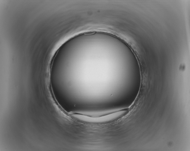 X0000097591520200803141843