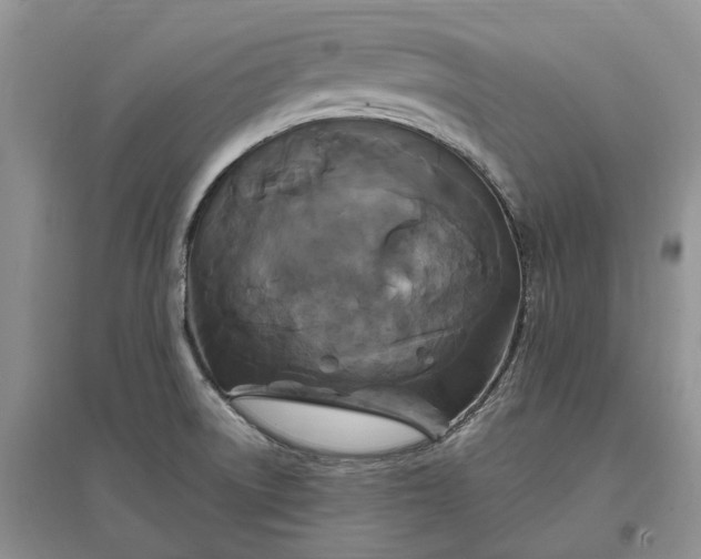 X0000097591522200803141843