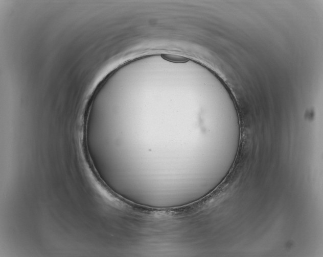 X0000097591523200803141843