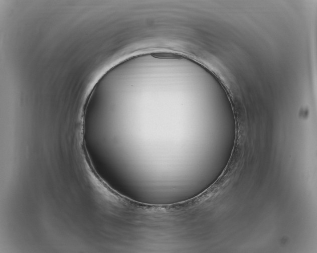 X0000097591524200803141843