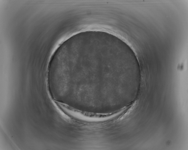 X0000097591525200803141843