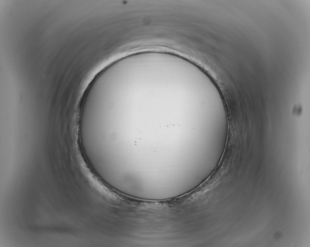 X0000097591526200803141843