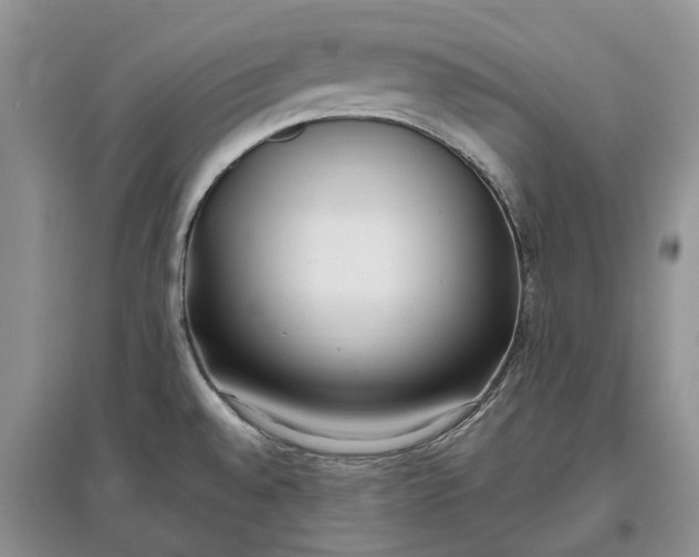 X0000097591528200803141843