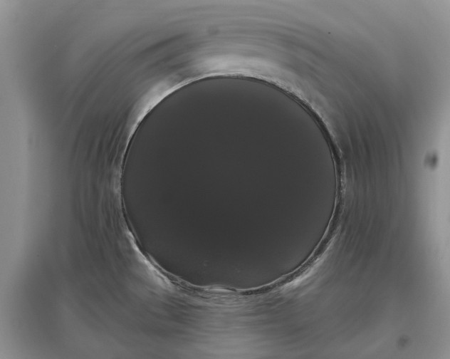 X0000097591529200803141843