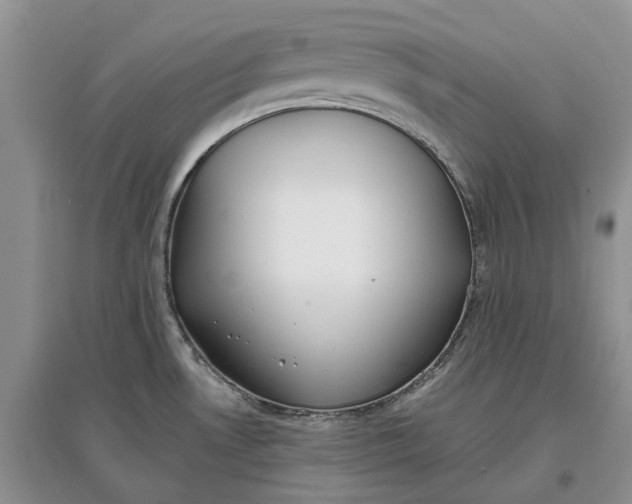 X0000097591530200803141843