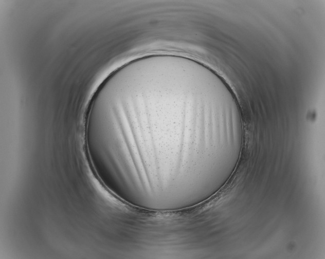 X0000097591531200803141843