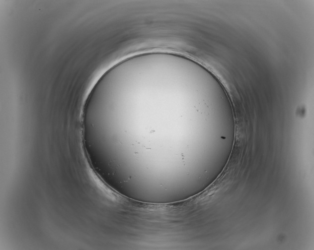 X0000097591532200803141843