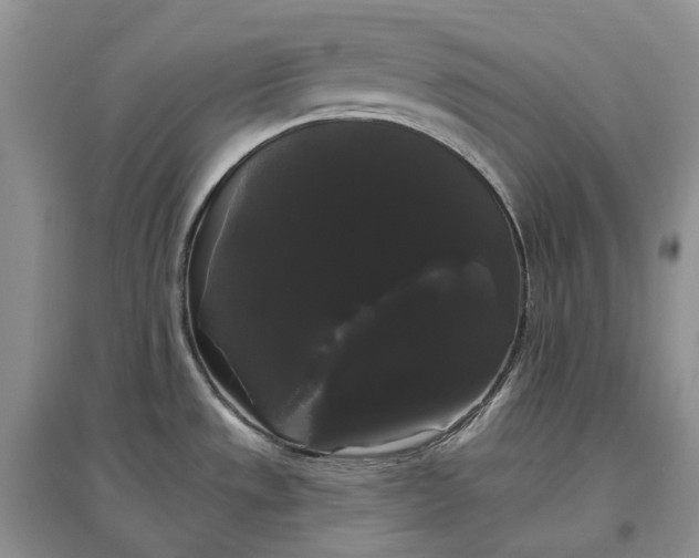 X0000097591533200803141843