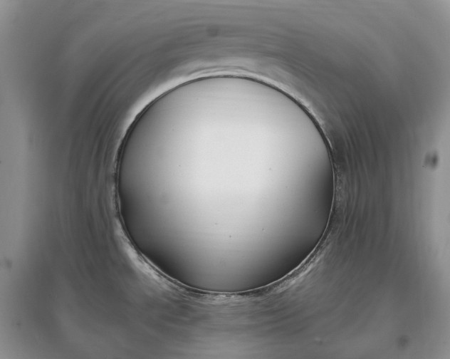 X0000097591534200803141843