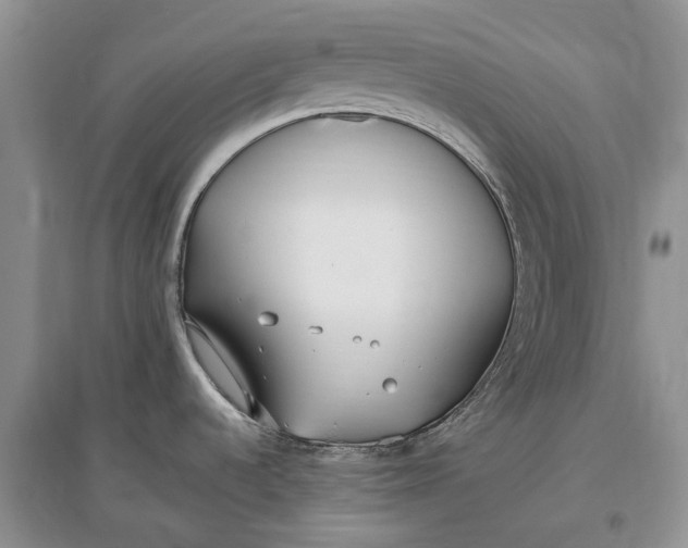 X0000097591536200803141843