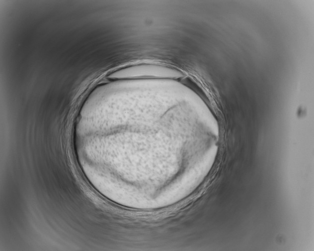 X0000097590001200803211647