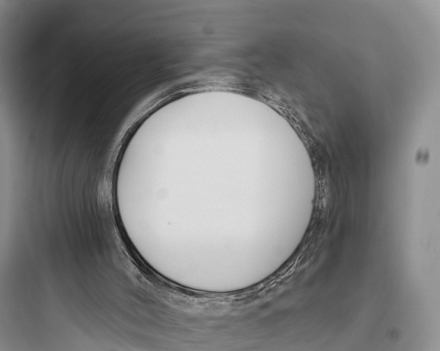 X0000097590004200803211647