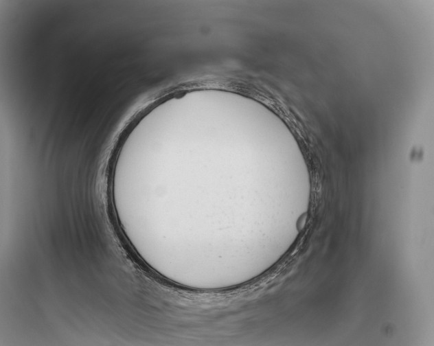 X0000097590006200803211647