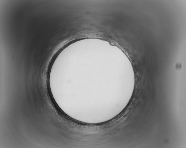 X0000097590008200803211647