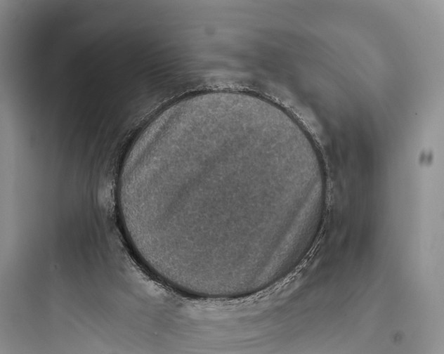 X0000097590009200803211647