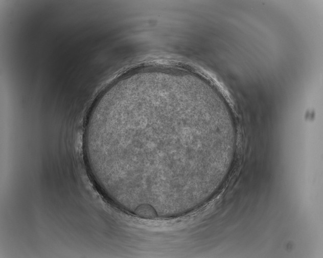 X0000097590010200803211647