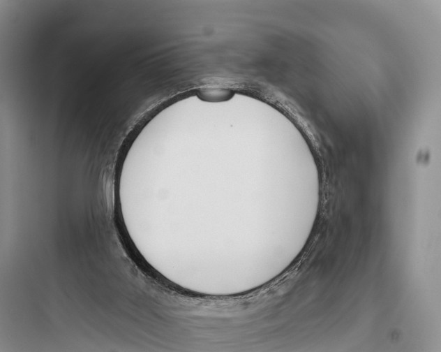 X0000097590011200803211647