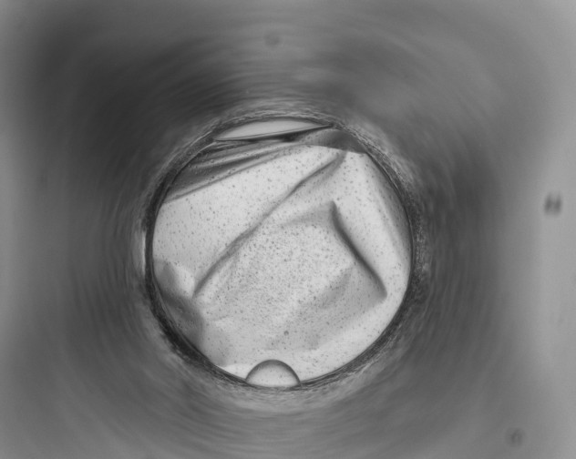 X0000097590014200803211647