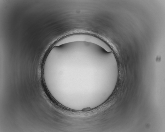 X0000097590015200803211647