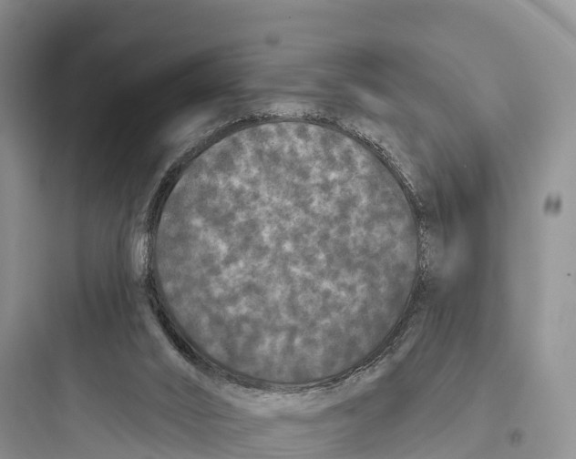 X0000097590016200803211647