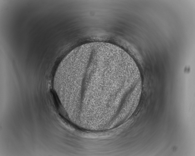 X0000097590017200803211647