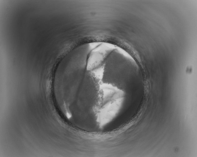 X0000097590018200803211647