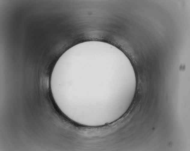 X0000097590021200803211647