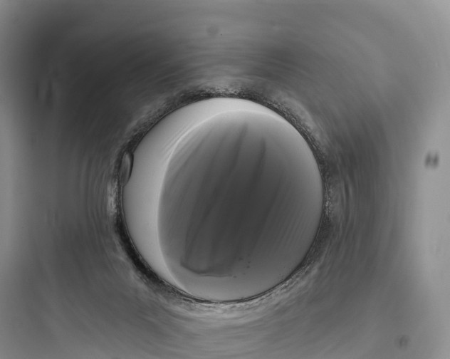 X0000097590023200803211647