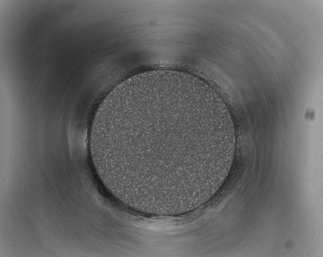 X0000097590024200803211647