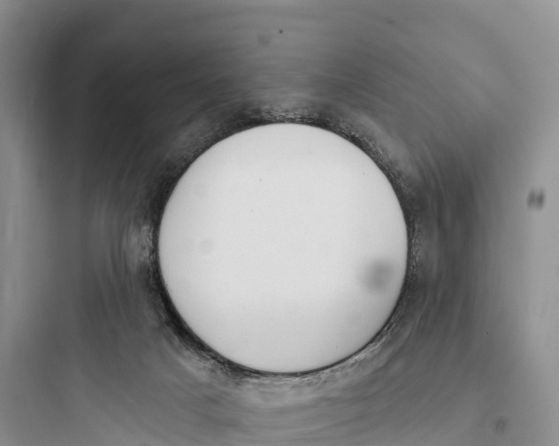 X0000097590025200803211647