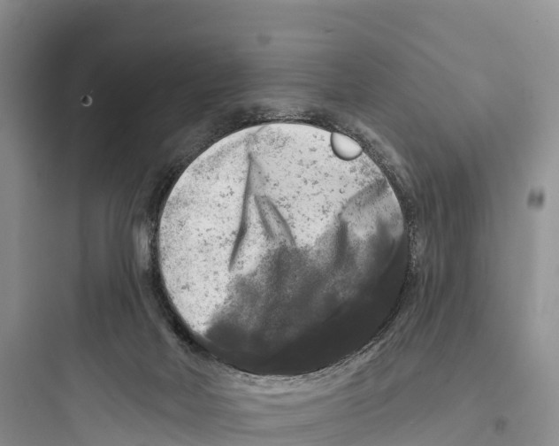 X0000097590026200803211647