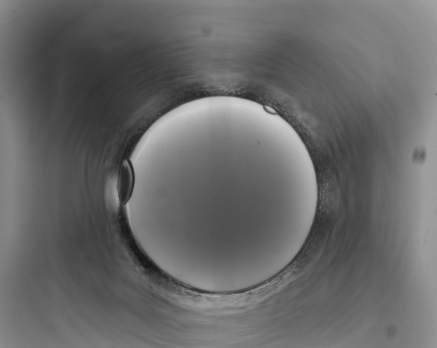 X0000097590027200803211647