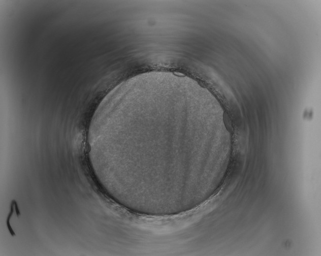 X0000097590029200803211647