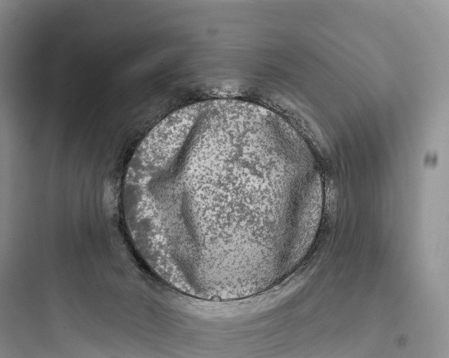 X0000097590030200803211647