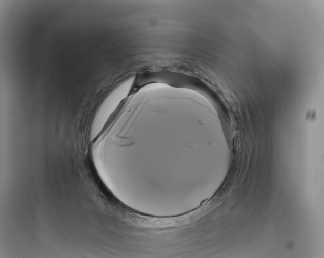 X0000097590031200803211647