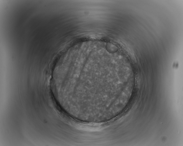 X0000097590032200803211647