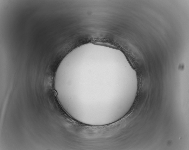 X0000097590033200803211647