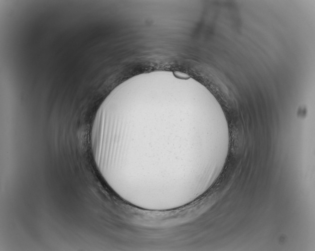 X0000097590034200803211646