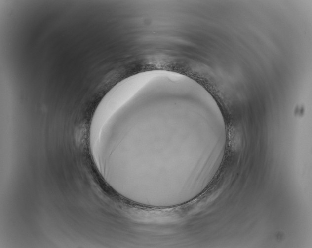 X0000097590036200803211646