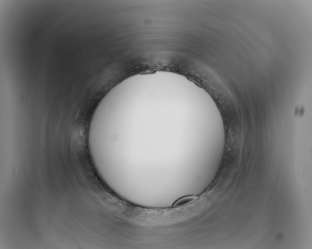 X0000097590037200803211646