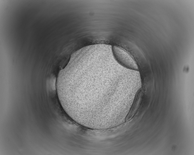 X0000097590041200803211646